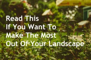 Read This If You Want To Make The Most Out Of Your Landscape 300x200 - Read This If You Want To Make The Most Out Of Your Landscape